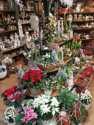 Vánoční svícny, kytice, dárky malé i velké, které potěší. Otevřeno každý den až do vánoc 🎄🎁❄...